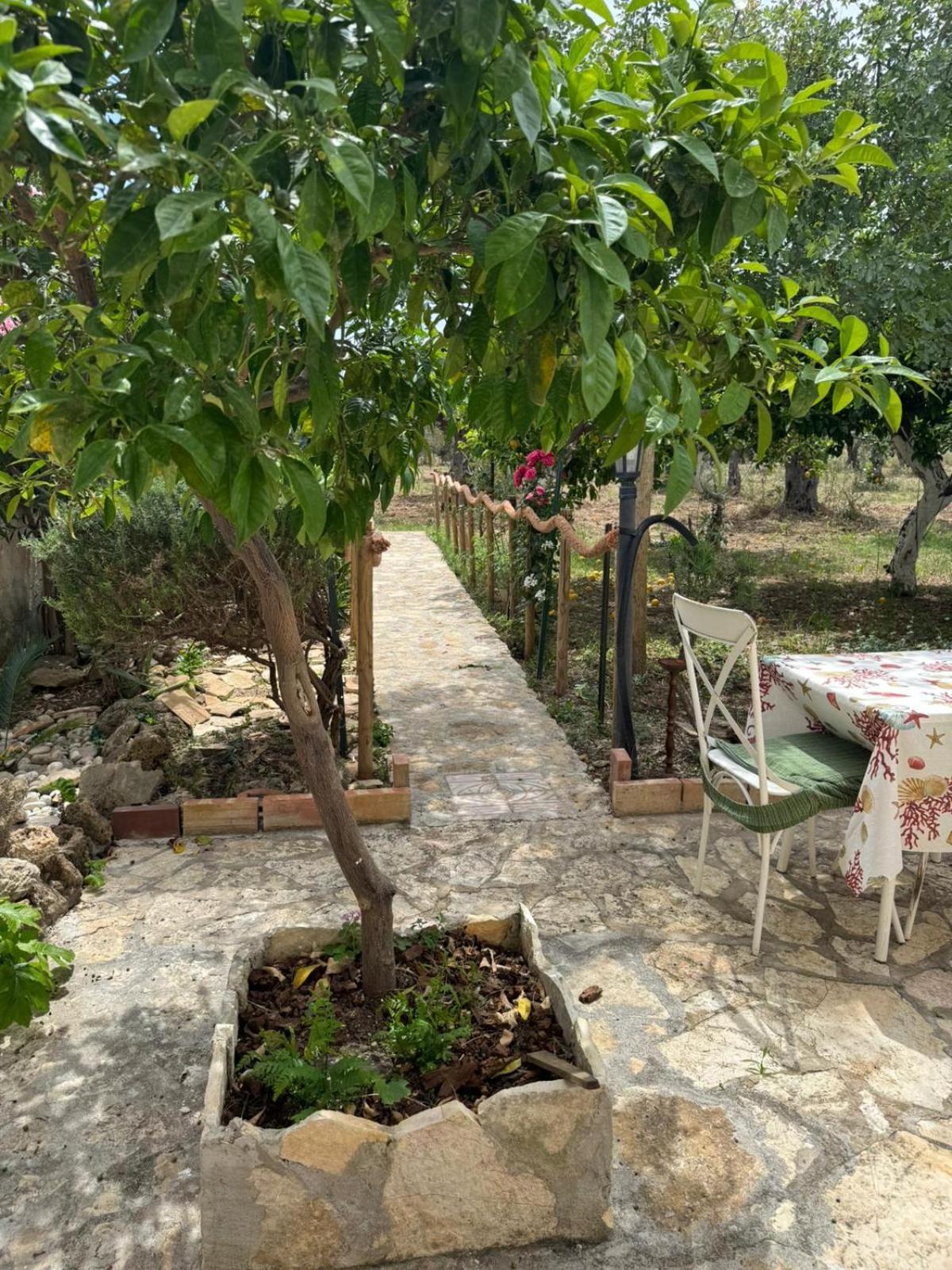 Bed and Breakfast Le Macine 1868 Paceco Esterno foto